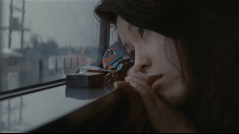 кадр из фильма 札幌・横浜・雄琴・博多 トルコ渡り鳥