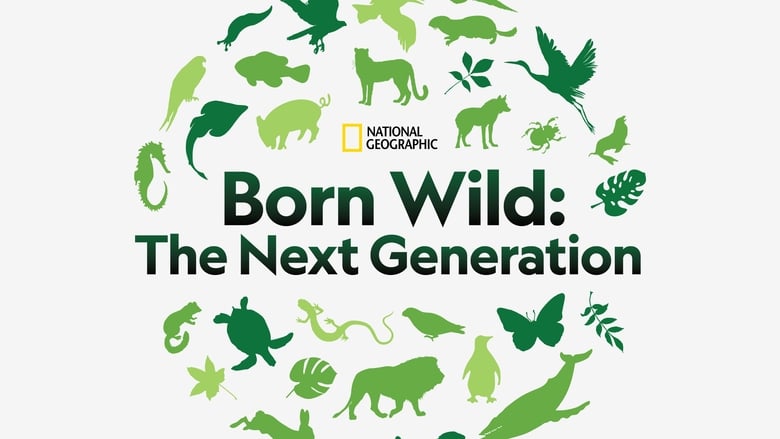 кадр из фильма Born Wild: The Next Generation