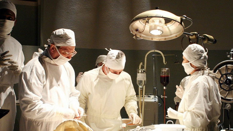 кадр из фильма Творение Господне