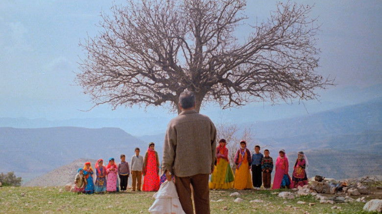 кадр из фильма Габбех