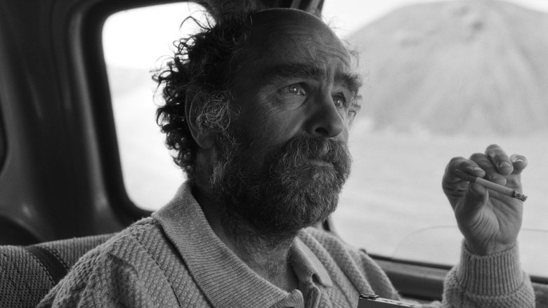 кадр из фильма A Perfect Day for Caribou