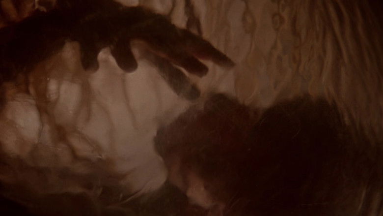 кадр из фильма Похитители тел