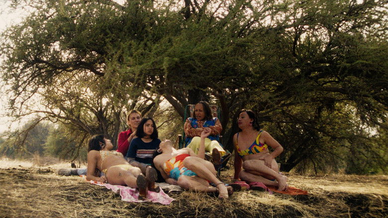 кадр из фильма La misteriosa mirada del flamenco