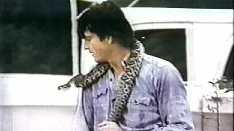 кадр из фильма Stanley