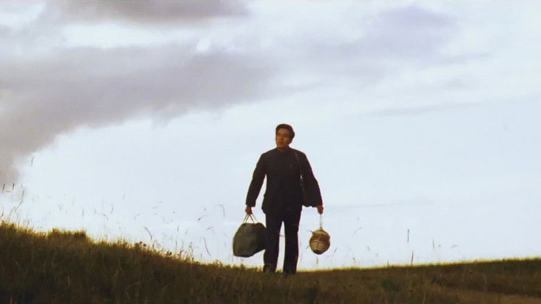 кадр из фильма 牧马人