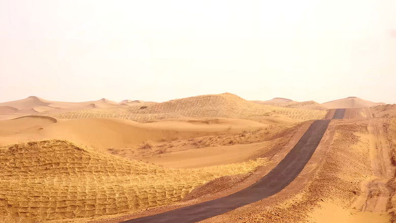 кадр из фильма 西部计划