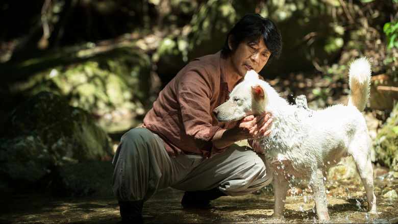 кадр из фильма Видение