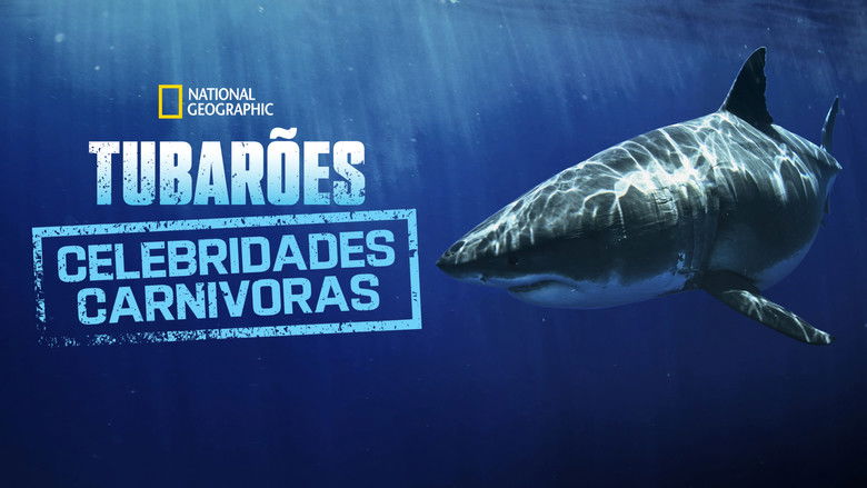 кадр из фильма Most Wanted Sharks