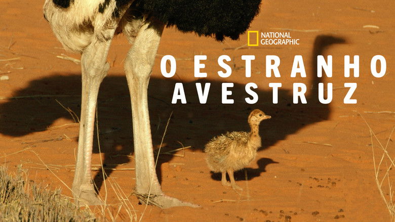 кадр из фильма Strangest Bird Alive