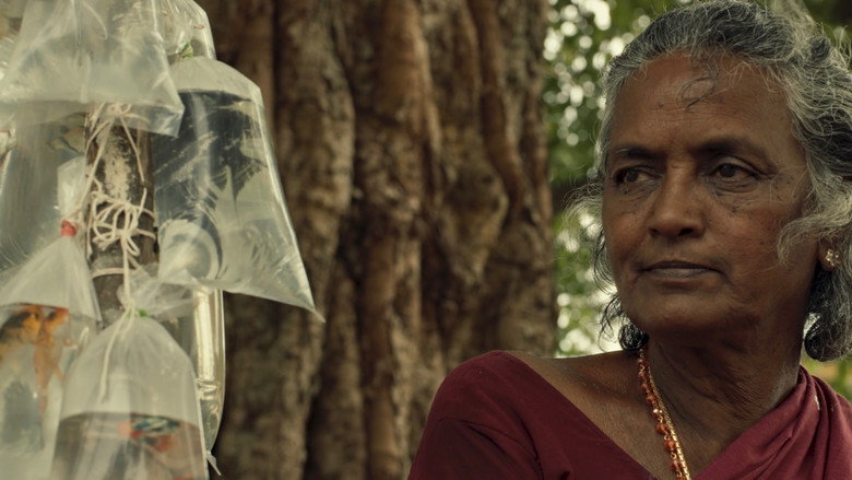 кадр из фильма Tears of a Fish