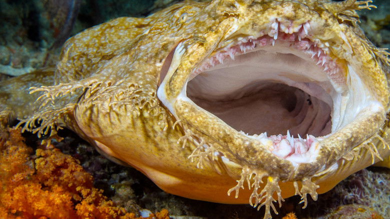 кадр из фильма What the Shark?