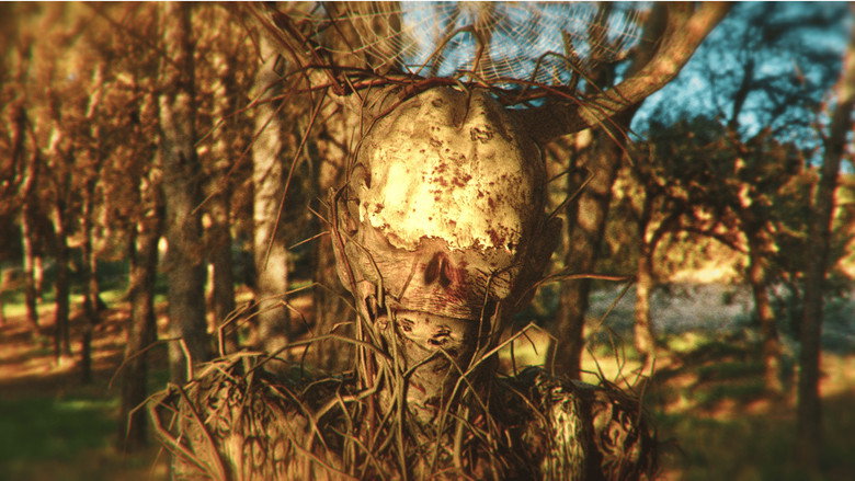 кадр из фильма La Bestia en el Bosque