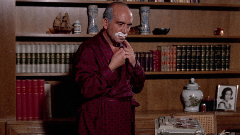 кадр из фильма Фата Моргана