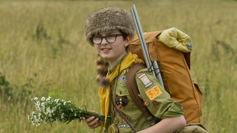 кадр из фильма Королевство полной луны