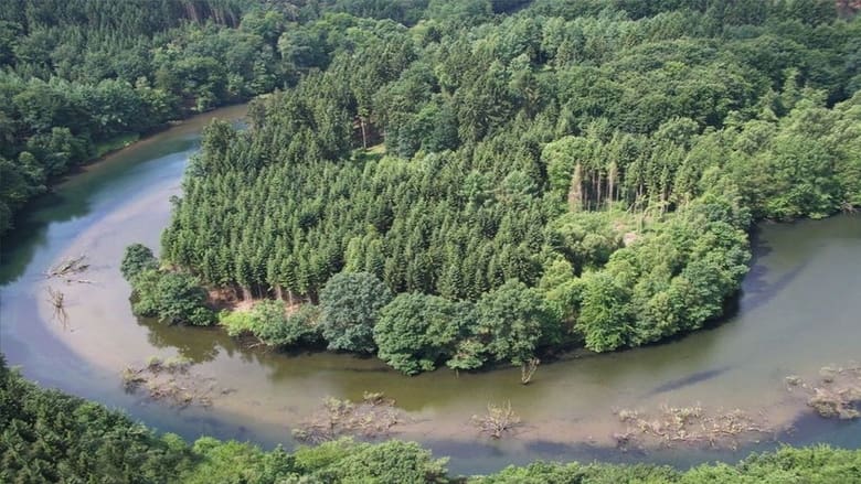 кадр из фильма Die Wupper - Amazonas im Bergischen Land