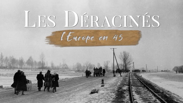 кадр из фильма Les déracinés - L'Europe en 45