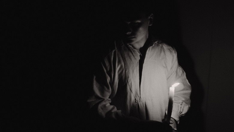 кадр из фильма De gedaanteverwisseling