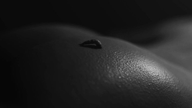 кадр из фильма Bira