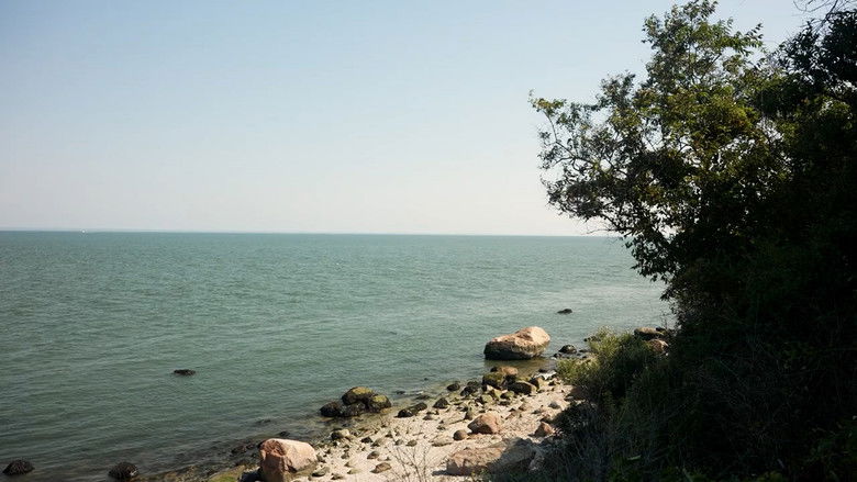 кадр из фильма Listen