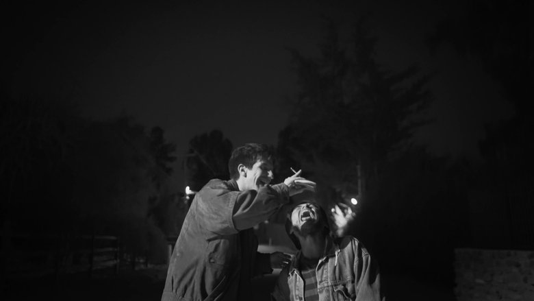 кадр из фильма Del Caminar en el Cine