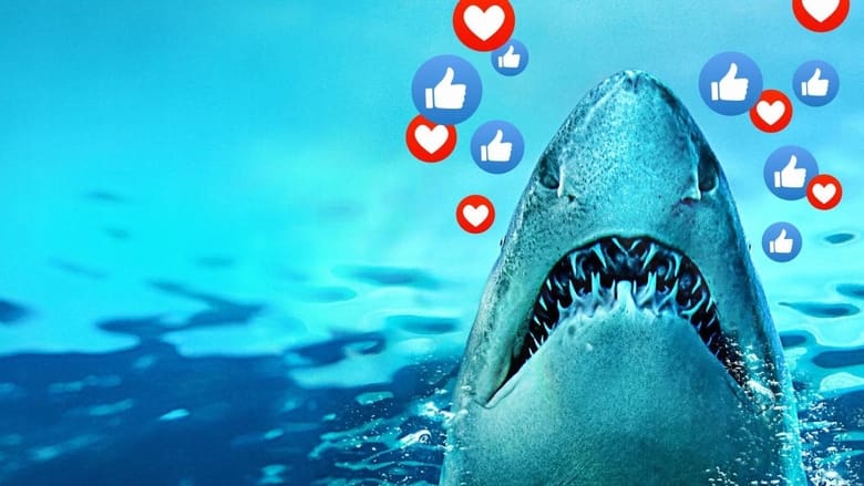 Sharks Gone Viral