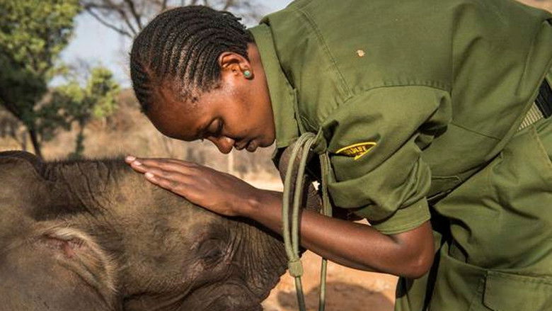 кадр из фильма My Africa