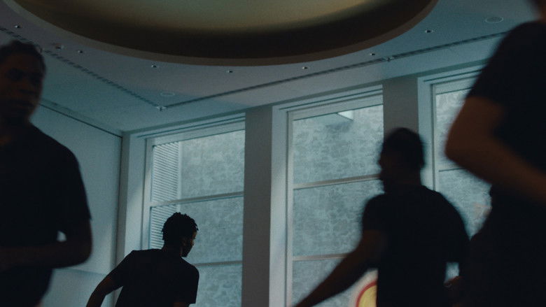 кадр из фильма Conference of the Birds