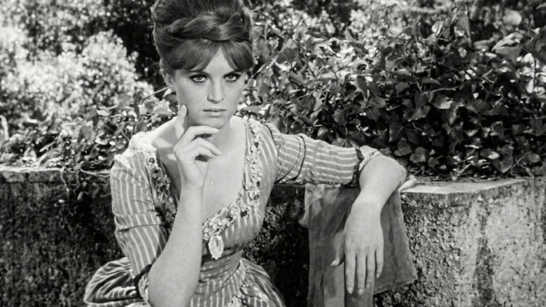 кадр из фильма Проклятие Карнштейнов