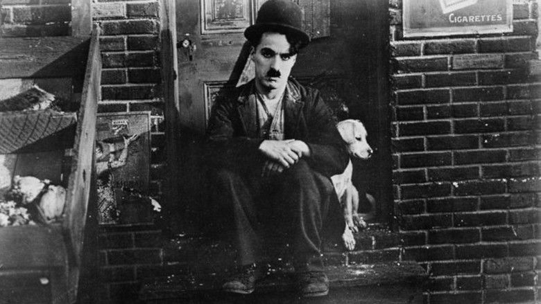 кадр из фильма Собачья жизнь