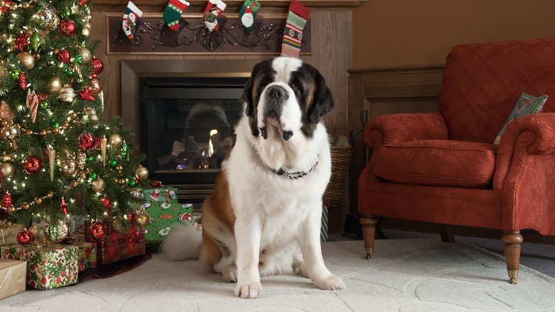 кадр из фильма Рождественское приключение Бетховена