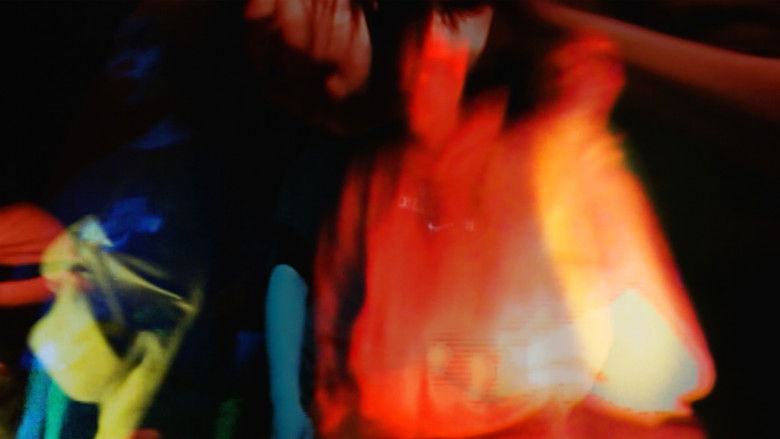 кадр из фильма Why Do Ants Go Back To Their Nest?