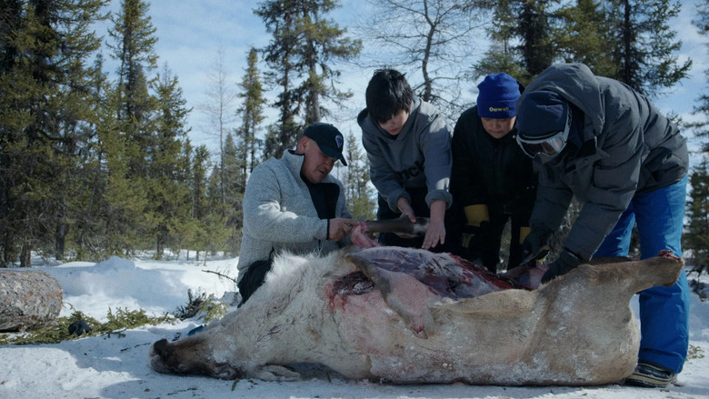 кадр из фильма Matimekush