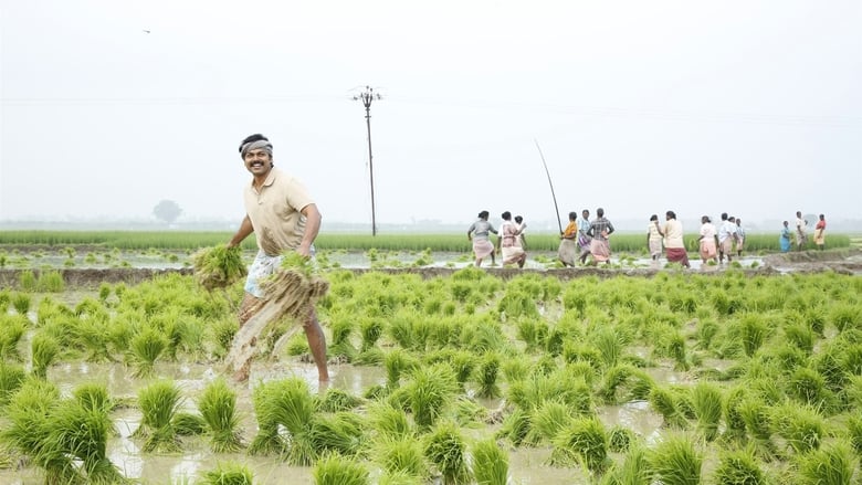 кадр из фильма கடைக்குட்டி சிங்கம்