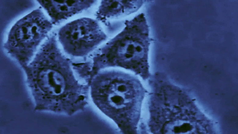 кадр из фильма Our Genes Under Influence