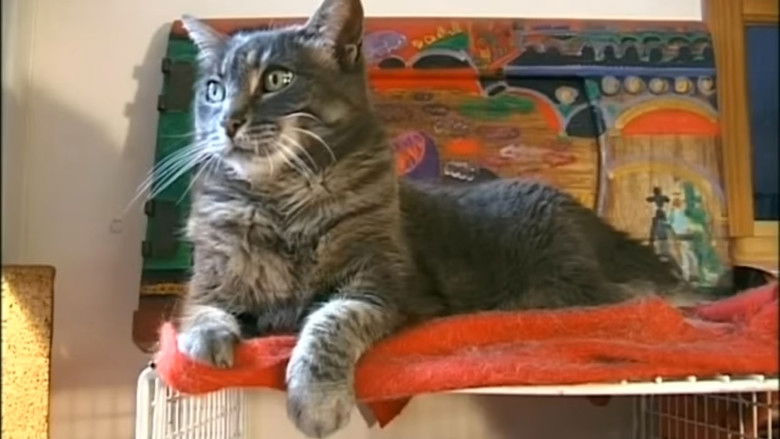 кадр из фильма Hommage à Zgougou (et salut à Sabine Mamou)