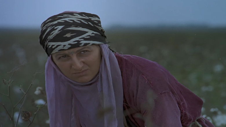 кадр из фильма Тревога