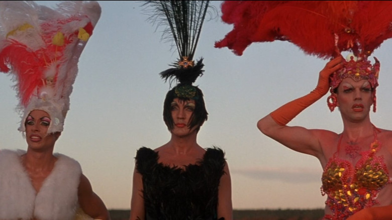 кадр из фильма Приключения Присциллы, королевы пустыни