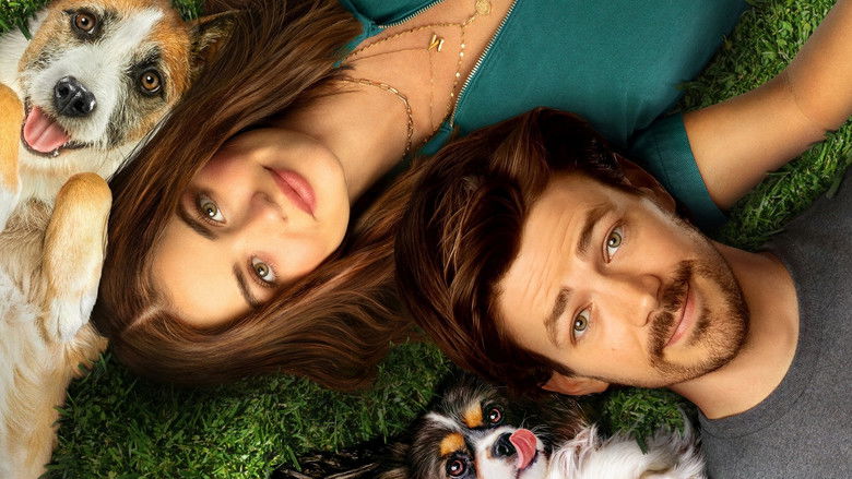 кадр из фильма Щенячья любовь