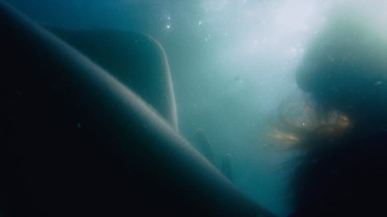 кадр из фильма Provocadora