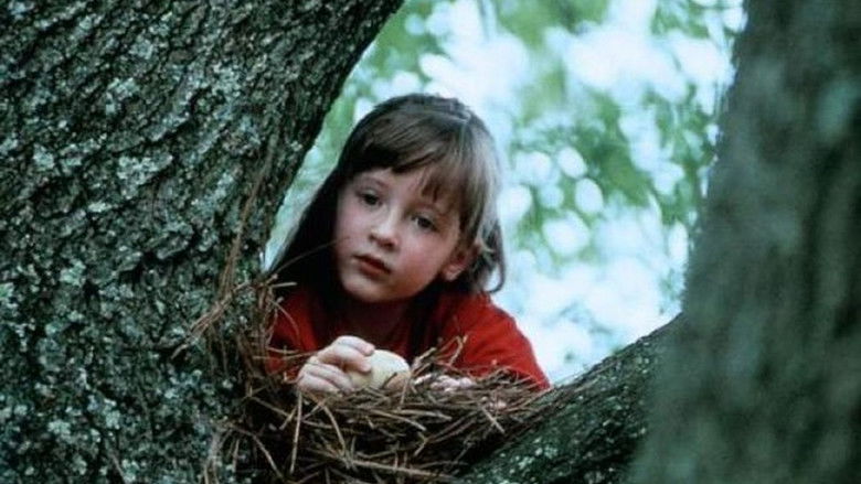 кадр из фильма Карточный домик