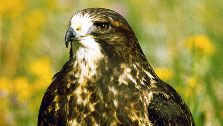 кадр из фильма Twixt Heaven and Earth