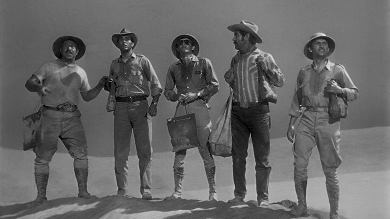 кадр из фильма Viento negro