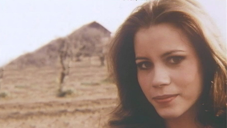 кадр из фильма The Liberation of Honeydoll Jones