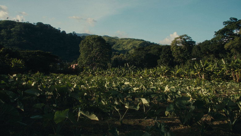 кадр из фильма ¿Estás Despierta?