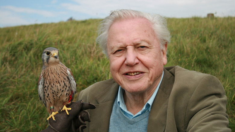 кадр из фильма Attenborough: 60 Years in the Wild
