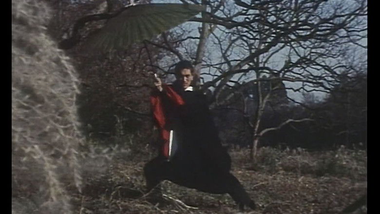 кадр из фильма EMOTION 伝説の午後＝いつか見たドラキュラ