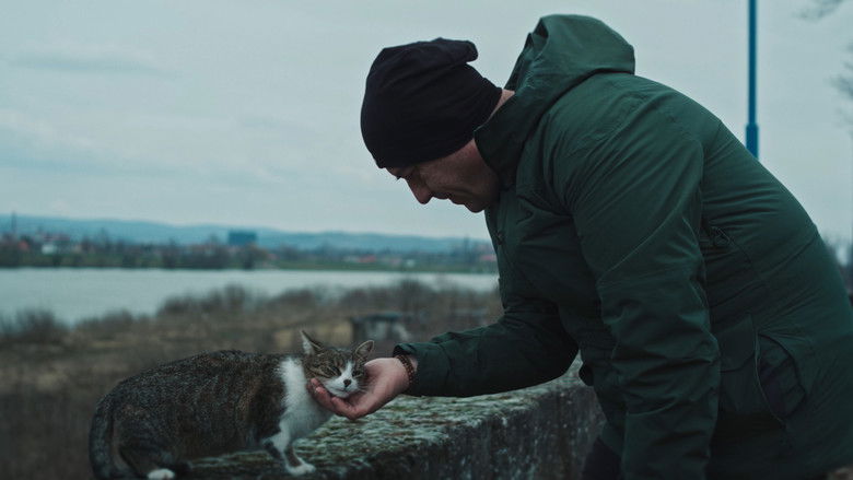 кадр из фильма Poslije zabave