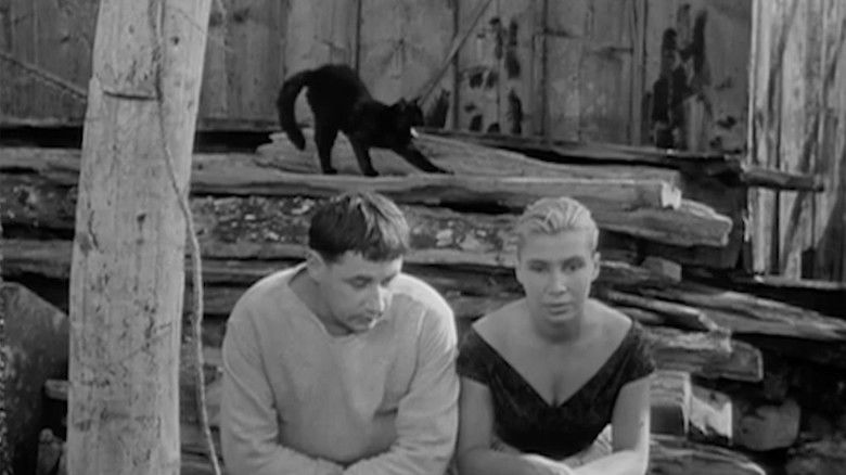 кадр из фильма Пуэнт-Курт