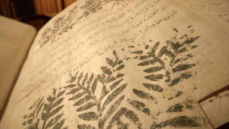 кадр из фильма Les trésors oubliés de la médecine arabe