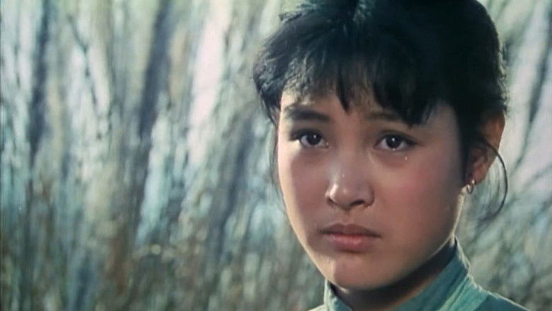 кадр из фильма 小花